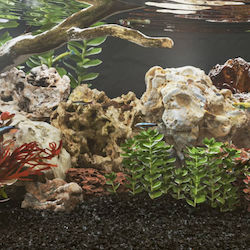 vidaXL Aquariendekorationen Stein