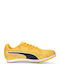 Evospeed Star 8 Αθλητικά Παιδικά Παπούτσια Running με Κορδόνια Κίτρινα