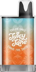 JuicyJane Disposables E-Cigarette 600 Puffs Ora...
