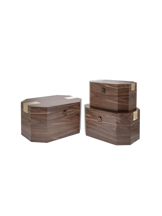 Iliadis Wooden Decorative Trunks Set Brown 3pcs