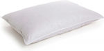 Otto Almas Sleep Pillow Feathered Soft 50x70cm