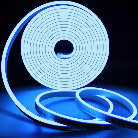 Andowl Αδιάβροχη Ταινία LED 12V Μπλε Φως 5m Neon Flex