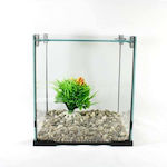 Fish Aquarium Capacity 9.5lt with Filter and 20x20x24cm.