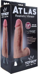 Toyboy Δονητής Flesh Toyboy Δονητής Flesh