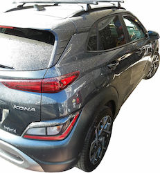 Nordrive (with Roof Rack Legs) Silver