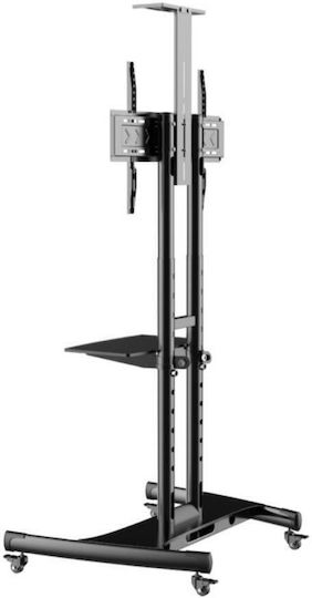Axred ZEUS Βάση Τηλεόρασης Δαπέδου έως 80" και 45.5kg