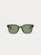 Cosselie Sunglasses with Green Plastic Frame and Green Lens 1802202313