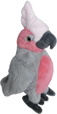 Plush Parrot 22 cm