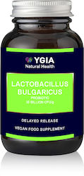 Ygia Lactobacillus Bulgaricus 60 κάψουλες Ygia Lactobacillus Bulgaricus 60 κάψουλες