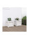 vidaXL Μασίφ Ξύλο Blumenkasten 31x31cm Set 2Stück White 837397