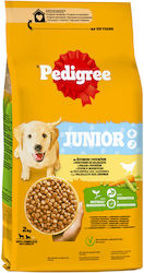 Pedigree Junior Pedigree Junior