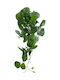 Decorative Artificial Plant Green 50cm 50pcs GloboStar