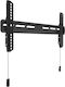 Multibrackets M OLED Super Slim Wandhalterung für Fernseher bis 65" und 50kg Schwarz