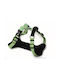 Farm Company Dog Harness White L-NPE336
