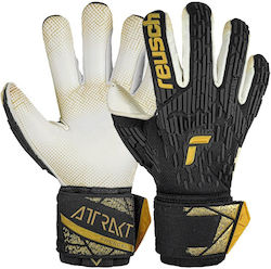 Reusch Reusch Attrakt Freegel Torwarthandschuhe Erwachsene Schwarz
