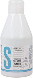 Salerm S Dermocalm 300ml Salerm S Dermocalm 300ml