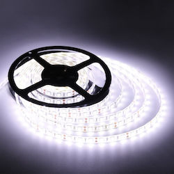 NetOne Ταινία LED NetOne Ταινία LED