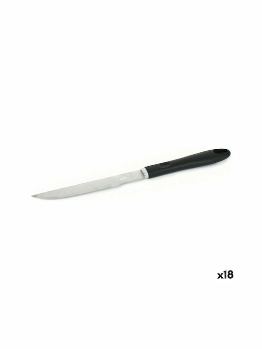 Rayen Meat Knife of Stainless Steel S2230979