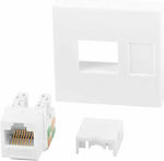 Lanberg RJ-45 Connector 1pc