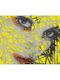 Wall Mural 330x270cm