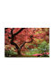 Fototapet de Perete 400x250cm Hârtie Lavabil