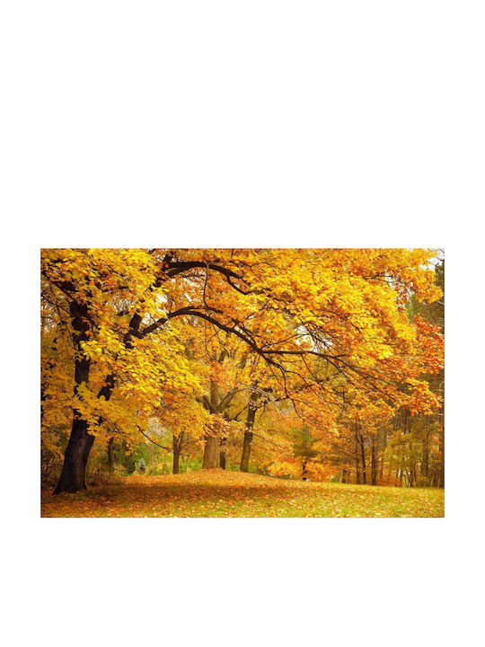 Autocolantă Tapet de Perete 250x150cm Lavabil