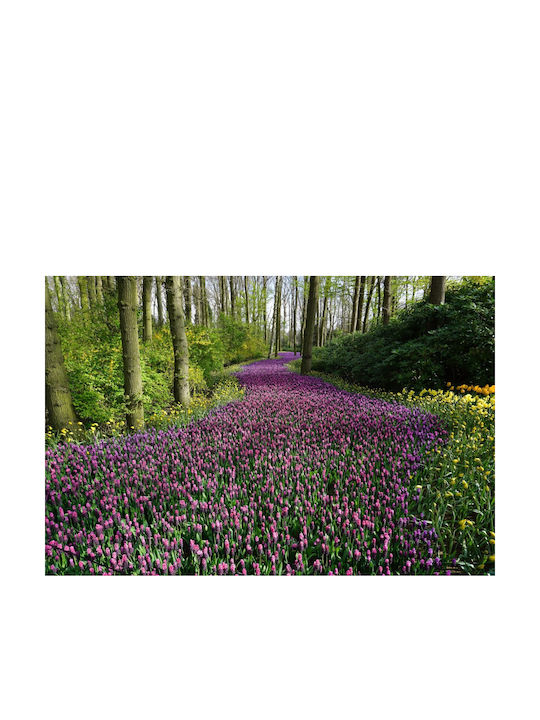 Autocolantă Tapet de Perete 250x150cm Lavabil