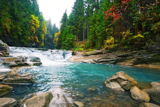 Φωτοταπετσαρία Τοίχου Χάρτινη 250x200cm Πλενόμενη