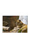 Tapete L200xB150cm Waschbar FTAP-FOTOTAP12994
