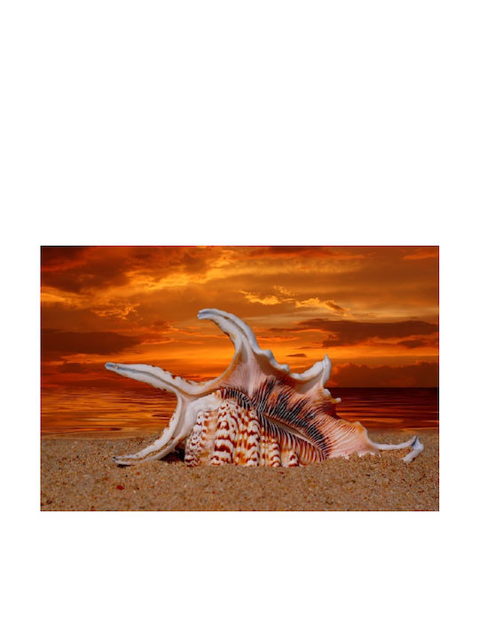 Tapet De Perete Beach 220x135cm Lavabil