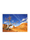 Self-adhesive Wall Wallpaper 250x150cm Washable