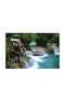 Wall Mural Paper 250x150cm Washable