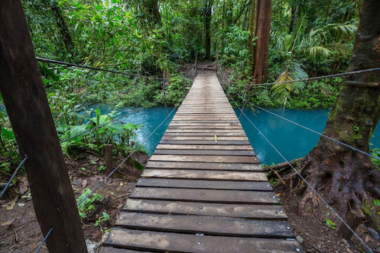 Tapet Autocolant De Perete Costa Rica Forest Floor 400x250cm Lavabil