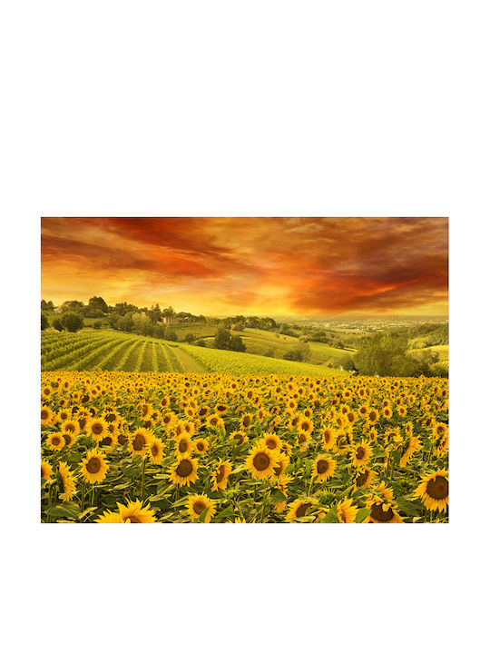 Autocolantă Tapet de Perete 250x150cm Lavabil