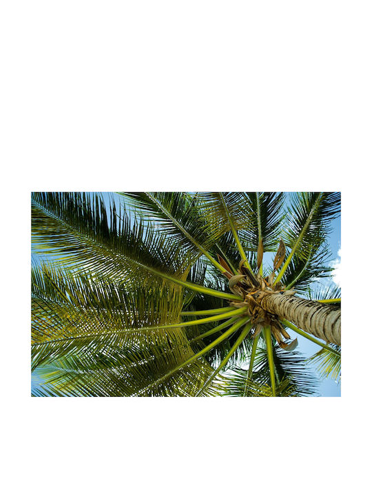 Autocolantă Tapet de Perete 300x250cm Lavabil