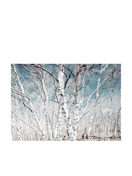 Autocolantă Tapet de Perete 250x200cm Lavabil