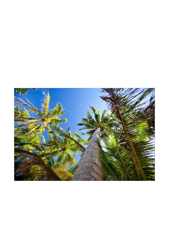 Autocolantă Tapet de Perete 250x200cm Lavabil