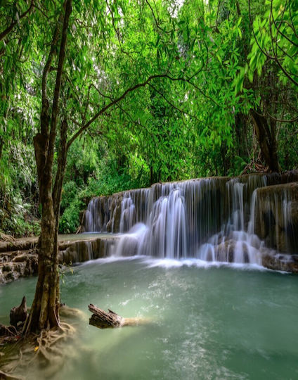 Φωτοταπετσαρία Τοίχου Cascada44 Χάρτινη 150x205cm Πλενόμενη
