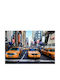 Tapet de Perete 250x200cm Lavabil
