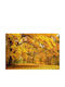 Fototapet de Perete 250x150cm Hârtie Lavabil