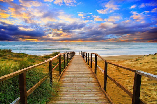 Tapet De Perete Road To Beach 220x135cm Lavabil