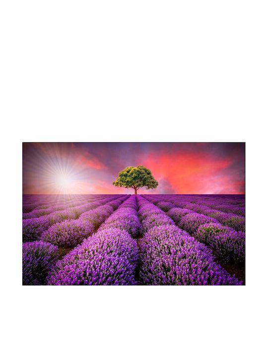 Autocolantă Tapet de Perete 250x200cm Lavabil