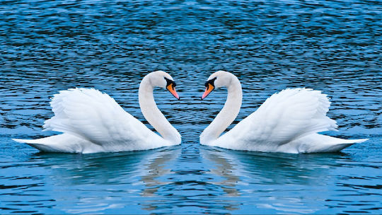 Autocolantă Fototapet de Perete 220x135cm Lavabil