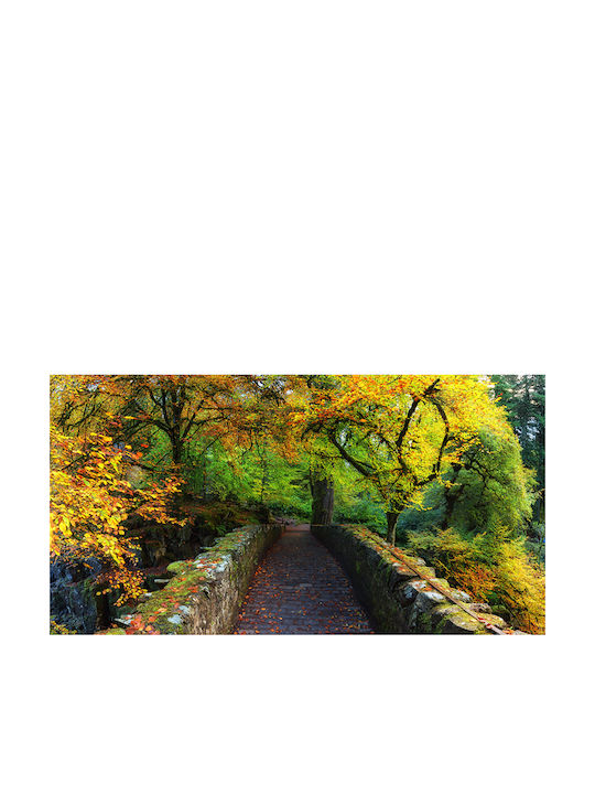 Autocolantă Tapet de Perete 200x150cm Lavabil