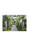 Self-adhesive Wall Mural 220x135cm Washable