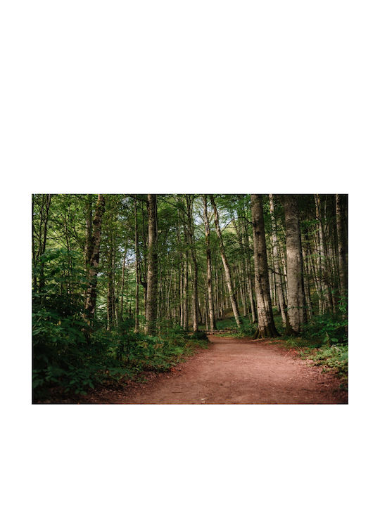 Selbstklebend Tapete L200xB150cm Waschbar FTAP-FOTOTAP13281
