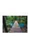 Αυτοκόλλητη Φωτοταπετσαρία Τοίχου Costa Rica Forest Floor 270x200cm Πλενόμενη
