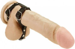 Rimba Strap-adjustable Ring Schwanz Schwarz 7479