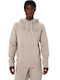 ASICS Logo Men's Sweatshirt Gray