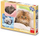 Kids Puzzle Kittens for 5+ Years 55pcs Dino